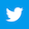 Twitter Small Logo Link